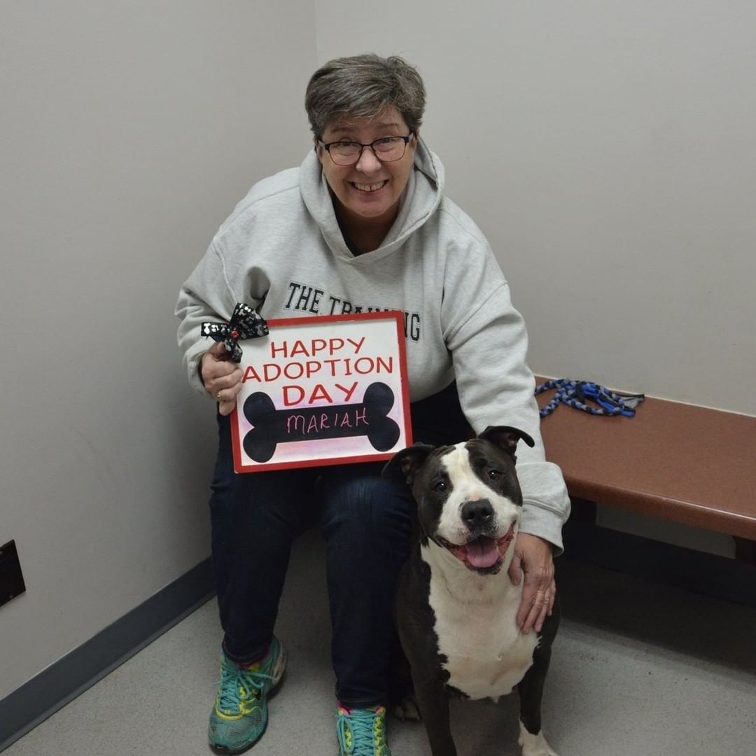 Adoption photo day is one of our favorites to share! 😍 Join us in congratulating all the happy families who adopted over the holiday weekend.