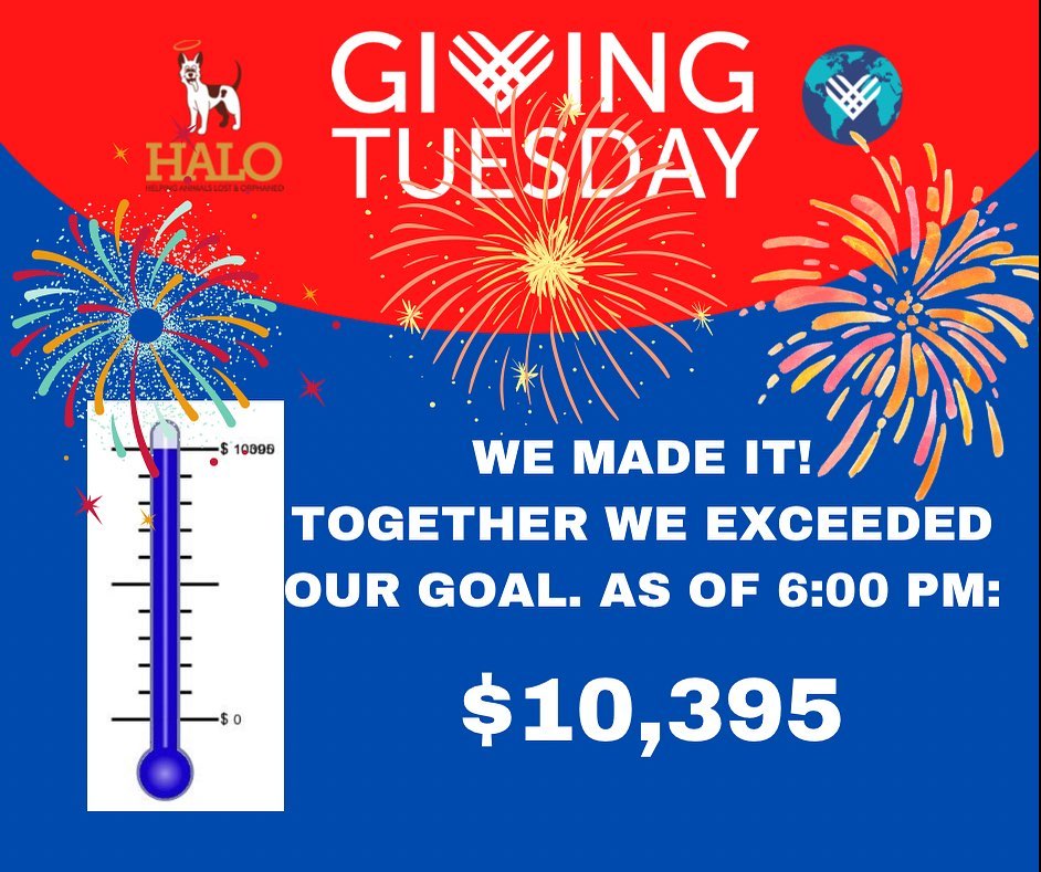 We are speechless! We began with Walter Borda’s $5,000 donor match challenge and YOU MET THAT CHALLENGE! Remember, those who donate at least $25 today between 10 am and 8 pm, receive two Gift Card Christmas Tree Raffle tickets. We are still pushing forward to finish this absolutely stunning day! <a target='_blank' href='https://www.instagram.com/explore/tags/givingtuesday/'>#givingtuesday</a> <a target='_blank' href='https://www.instagram.com/explore/tags/givingtuesday2021/'>#givingtuesday2021</a> <a target='_blank' href='https://www.instagram.com/explore/tags/nonprofit/'>#nonprofit</a> <a target='_blank' href='https://www.instagram.com/explore/tags/nonprofitorganization/'>#nonprofitorganization</a> <a target='_blank' href='https://www.instagram.com/explore/tags/nonprofits/'>#nonprofits</a> <a target='_blank' href='https://www.instagram.com/explore/tags/nonprofitsofinstagram/'>#nonprofitsofinstagram</a> <a target='_blank' href='https://www.instagram.com/explore/tags/donate/'>#donate</a> <a target='_blank' href='https://www.instagram.com/explore/tags/donatenow/'>#donatenow</a> <a target='_blank' href='https://www.instagram.com/explore/tags/dogbehavior/'>#dogbehavior</a> <a target='_blank' href='https://www.instagram.com/explore/tags/behaviormodification/'>#behaviormodification</a> <a target='_blank' href='https://www.instagram.com/explore/tags/behaviorist/'>#behaviorist</a> <a target='_blank' href='https://www.instagram.com/explore/tags/dogtraining/'>#dogtraining</a>