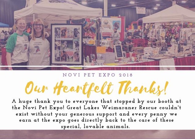 A huge thank you from all of us at Great Lakes Weimaraner Rescue to all of you that stopped by our booth at the Novi Pet Expo! It was great to meet other pet owners and to get a chance to share stories about our funny, funny dogs. All sales from the Expo go directly back into the rescue and we couldn't do what we do without your support! ⠀
⠀
<a target='_blank' href='https://www.instagram.com/explore/tags/GLWR/'>#GLWR</a> <a target='_blank' href='https://www.instagram.com/explore/tags/NoviPetExpo/'>#NoviPetExpo</a> <a target='_blank' href='https://www.instagram.com/explore/tags/NoviPetExpo2018/'>#NoviPetExpo2018</a> <a target='_blank' href='https://www.instagram.com/explore/tags/GreatLakesWeimRescue/'>#GreatLakesWeimRescue</a> <a target='_blank' href='https://www.instagram.com/explore/tags/GreatLakesWeimaranerRescue/'>#GreatLakesWeimaranerRescue</a> <a target='_blank' href='https://www.instagram.com/explore/tags/thankyou/'>#thankyou</a> <a target='_blank' href='https://www.instagram.com/explore/tags/nonprofit/'>#nonprofit</a> <a target='_blank' href='https://www.instagram.com/explore/tags/charity/'>#charity</a> <a target='_blank' href='https://www.instagram.com/explore/tags/weimaraner/'>#weimaraner</a>