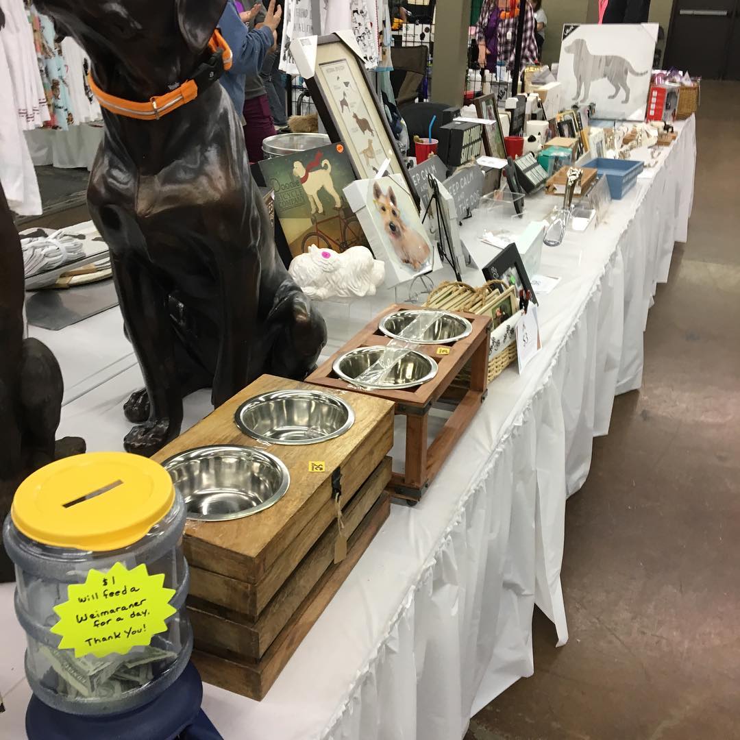 Come join us for the last day of pet expo! We’re selling pet supplies and home decor with all of the proceeds going directly to the rescue. Stop in and say hi anytime until 5:00pm!