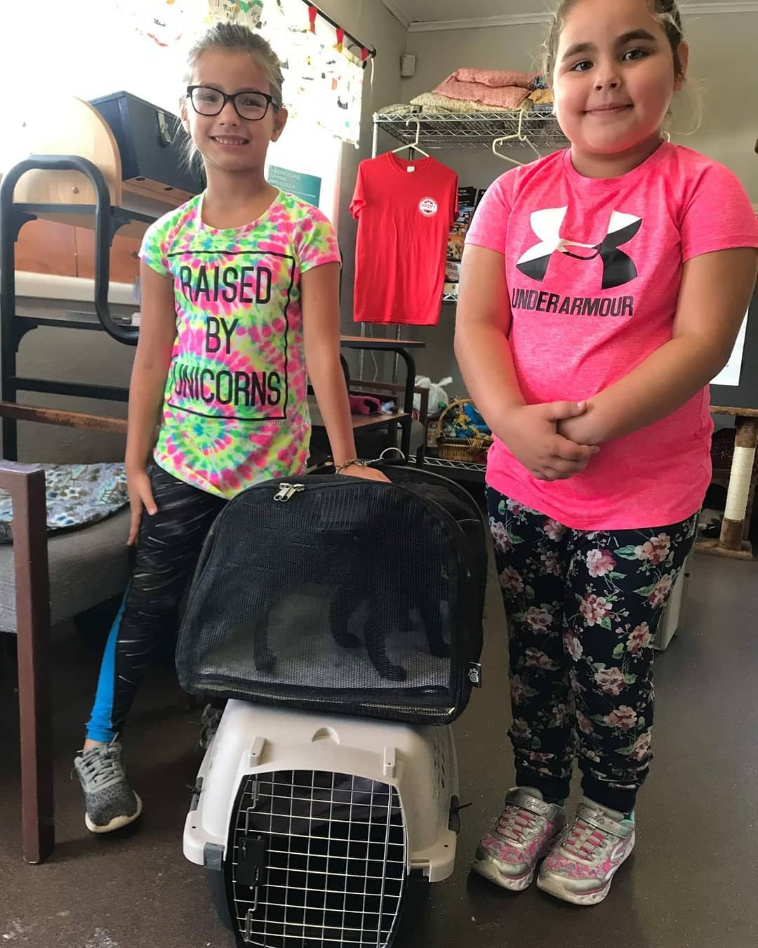 Catgratulations to these rock stars for taking home their brand new <a target='_blank' href='https://www.instagram.com/explore/tags/kittens/'>#kittens</a> 🐾😻❣️<a target='_blank' href='https://www.instagram.com/explore/tags/adoptedandlovingit/'>#adoptedandlovingit</a> <a target='_blank' href='https://www.instagram.com/explore/tags/meow/'>#meow</a> <a target='_blank' href='https://www.instagram.com/explore/tags/AdoptDontShop/'>#AdoptDontShop</a> <a target='_blank' href='https://www.instagram.com/explore/tags/kittensofinstagram/'>#kittensofinstagram</a> <a target='_blank' href='https://www.instagram.com/explore/tags/kittenlove/'>#kittenlove</a> <a target='_blank' href='https://www.instagram.com/explore/tags/kittensoftheday/'>#kittensoftheday</a> <a target='_blank' href='https://www.instagram.com/explore/tags/happytails/'>#happytails</a> <a target='_blank' href='https://www.instagram.com/explore/tags/photooftheday/'>#photooftheday</a> <a target='_blank' href='https://www.instagram.com/explore/tags/happykids/'>#happykids</a>  <a target='_blank' href='https://www.instagram.com/explore/tags/portjervishumanesociety/'>#portjervishumanesociety</a> <a target='_blank' href='https://www.instagram.com/explore/tags/PJHumane/'>#PJHumane</a>