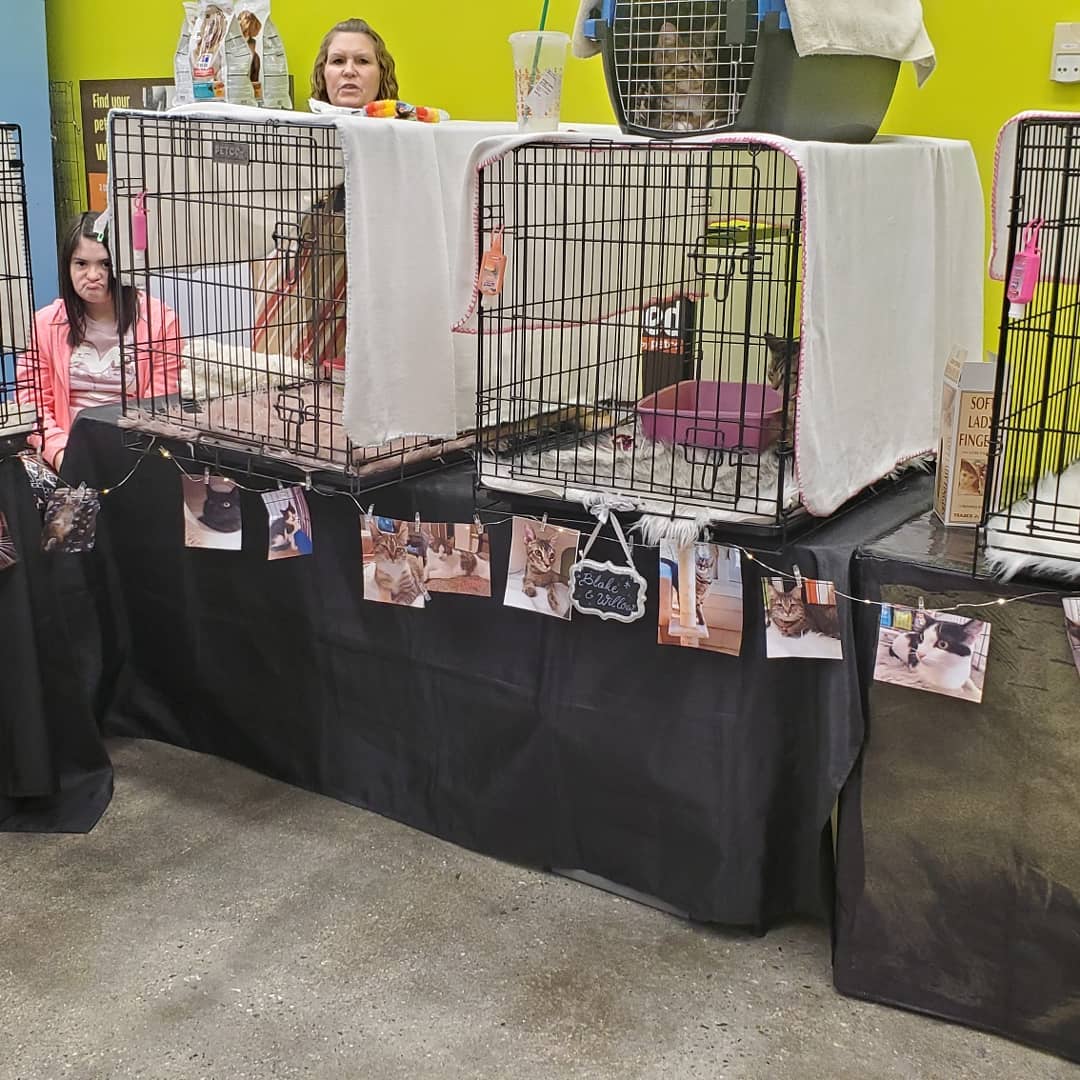 Adoptions today from 2-5pm at <a target='_blank' href='https://www.instagram.com/explore/tags/unleashedpetcoMonrovia/'>#unleashedpetcoMonrovia</a>! Come see all are wonderful Street kitties who are looking for Holiday Homes. Adoption donations are $100 for one or a pair. All kitties come with vaccinations, microchips, combo test, spay or neuter, flea treatment and deworming.
Help us find forever homes so we can pull more kitties from the streets when we TNR.
Thank you for supporting your local TNR groups who work tirelessly to fix all adults on the streets and get the kittens off of them. You can help be the solution and help shelters and rescues truly go <a target='_blank' href='https://www.instagram.com/explore/tags/nokill/'>#nokill</a>. TNR saves lives! Join the movement, ask us how! Happy holidays from the TNR project!

<a target='_blank' href='https://www.instagram.com/explore/tags/happyholidays/'>#happyholidays</a> <a target='_blank' href='https://www.instagram.com/explore/tags/thetnrproject/'>#thetnrproject</a> <a target='_blank' href='https://www.instagram.com/explore/tags/adoptdontshop/'>#adoptdontshop</a> <a target='_blank' href='https://www.instagram.com/explore/tags/petco/'>#petco</a> <a target='_blank' href='https://www.instagram.com/explore/tags/streetlove/'>#streetlove</a>