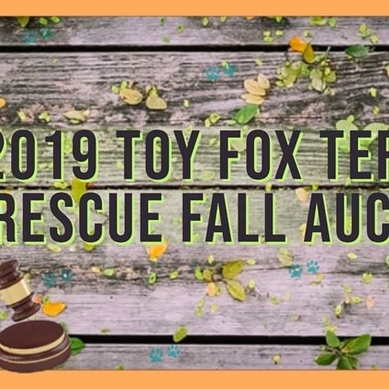 The 2019 Fall Auction has started. Please check it out and help us help the little ones.