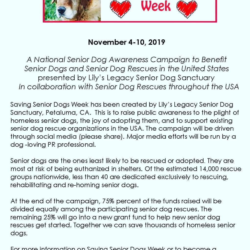 <a target='_blank' href='https://www.instagram.com/explore/tags/lilyslegacysavingseniordogsweek2019/'>#lilyslegacysavingseniordogsweek2019</a> has asked <a target='_blank' href='https://www.instagram.com/explore/tags/IPSDR/'>#IPSDR</a> to be a part of this amazing campaign to help raise awareness and funds for current and future senior dog rescues!! Please check out this campaign and donate if you can! Help us SAVE MORE SENIORS! <a target='_blank' href='https://www.instagram.com/explore/tags/adoptdontshop/'>#adoptdontshop</a> <a target='_blank' href='https://www.instagram.com/explore/tags/seniordogsrock/'>#seniordogsrock</a> <a target='_blank' href='https://www.instagram.com/explore/tags/olddogsrule/'>#olddogsrule</a>