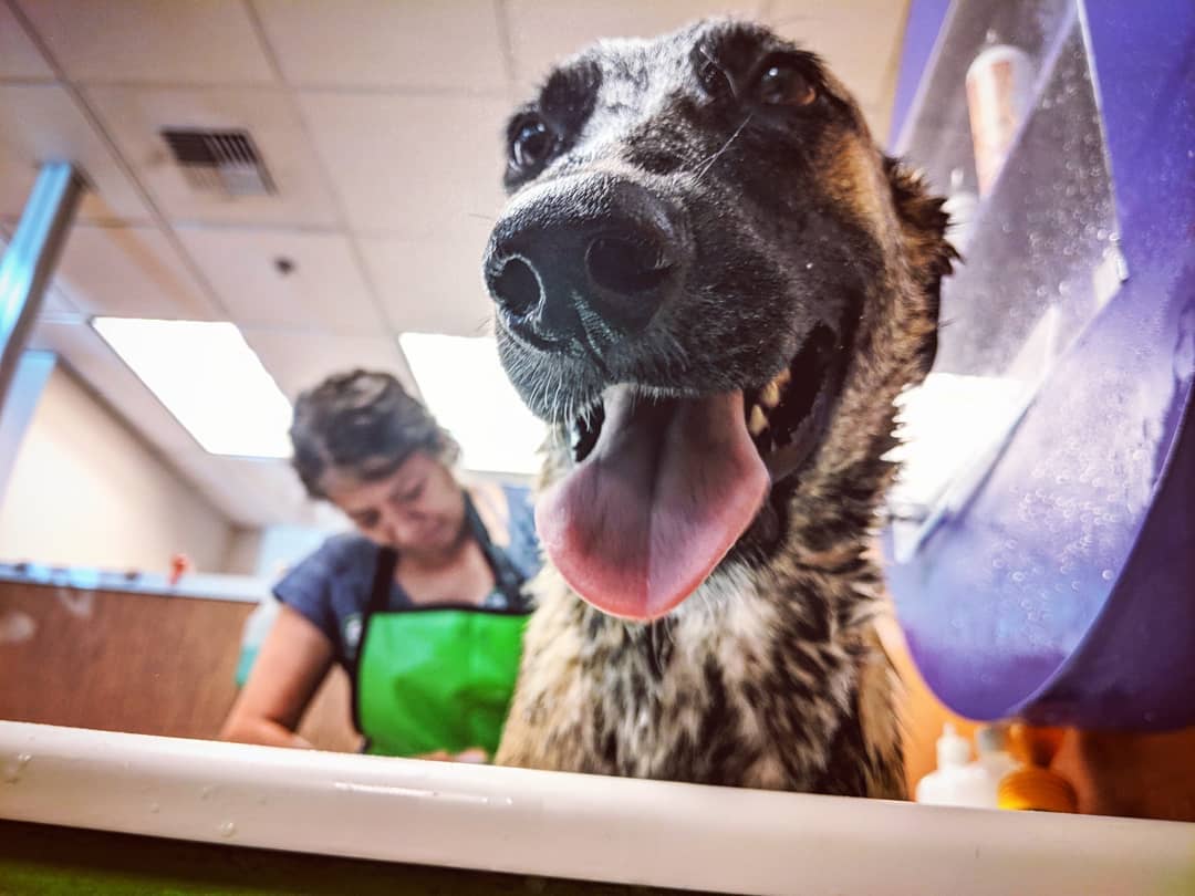 Bath-Time for Luna.