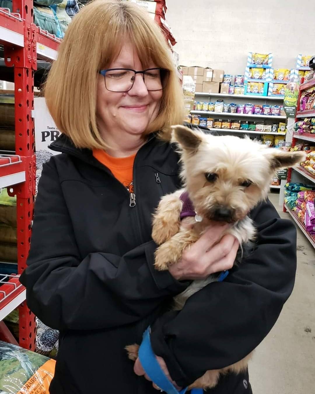 Congratulations to Denise and her husband Tim on her adoption of our mill momma Honey ❤❤❤ Denise and her husband are previous adopters of Kaleidoscope K9s.  They adopted another mill momma Yorkie, Pepper FKA Polly from us three years ago.  They also have a third mill momma Yorkie named Oni.

Thank you for choosing adoption! 
Many thanks to Toni King and family for fostering this sweet girl. <a target='_blank' href='https://www.instagram.com/explore/tags/kaleidoscopek9s/'>#kaleidoscopek9s</a> <a target='_blank' href='https://www.instagram.com/explore/tags/rescuesofinstagram/'>#rescuesofinstagram</a> <a target='_blank' href='https://www.instagram.com/explore/tags/ohiodogrescue/'>#ohiodogrescue</a> <a target='_blank' href='https://www.instagram.com/explore/tags/fureverhome/'>#fureverhome</a> <a target='_blank' href='https://www.instagram.com/explore/tags/adoptdontshop/'>#adoptdontshop</a>