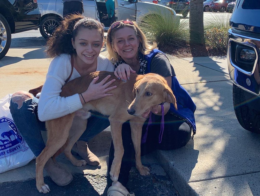 Shoutout to this awesome team who, with the help of community members, was able to clear the shelter last weekend at an adoption event. 🐾 Let’s keep the momentum going and get some more furbabies to their furever families! ❤️<a target='_blank' href='https://www.instagram.com/explore/tags/AdoptDontShop/'>#AdoptDontShop</a> <a target='_blank' href='https://www.instagram.com/explore/tags/HCACC/'>#HCACC</a> <a target='_blank' href='https://www.instagram.com/explore/tags/HorryCountyAnimalCareCenter/'>#HorryCountyAnimalCareCenter</a> <a target='_blank' href='https://www.instagram.com/explore/tags/AnimalAdoptions/'>#AnimalAdoptions</a> <a target='_blank' href='https://www.instagram.com/explore/tags/Adoptables/'>#Adoptables</a> <a target='_blank' href='https://www.instagram.com/explore/tags/AdoptionEvent/'>#AdoptionEvent</a> <a target='_blank' href='https://www.instagram.com/explore/tags/AnimalShelter/'>#AnimalShelter</a> <a target='_blank' href='https://www.instagram.com/explore/tags/ShelterLife/'>#ShelterLife</a> <a target='_blank' href='https://www.instagram.com/explore/tags/ACC/'>#ACC</a> <a target='_blank' href='https://www.instagram.com/explore/tags/TeamHorry/'>#TeamHorry</a>