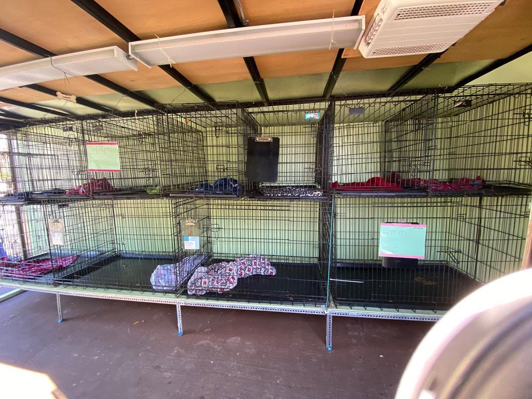 Shoutout to this awesome team who, with the help of community members, was able to clear the shelter last weekend at an adoption event. 🐾 Let’s keep the momentum going and get some more furbabies to their furever families! ❤️<a target='_blank' href='https://www.instagram.com/explore/tags/AdoptDontShop/'>#AdoptDontShop</a> <a target='_blank' href='https://www.instagram.com/explore/tags/HCACC/'>#HCACC</a> <a target='_blank' href='https://www.instagram.com/explore/tags/HorryCountyAnimalCareCenter/'>#HorryCountyAnimalCareCenter</a> <a target='_blank' href='https://www.instagram.com/explore/tags/AnimalAdoptions/'>#AnimalAdoptions</a> <a target='_blank' href='https://www.instagram.com/explore/tags/Adoptables/'>#Adoptables</a> <a target='_blank' href='https://www.instagram.com/explore/tags/AdoptionEvent/'>#AdoptionEvent</a> <a target='_blank' href='https://www.instagram.com/explore/tags/AnimalShelter/'>#AnimalShelter</a> <a target='_blank' href='https://www.instagram.com/explore/tags/ShelterLife/'>#ShelterLife</a> <a target='_blank' href='https://www.instagram.com/explore/tags/ACC/'>#ACC</a> <a target='_blank' href='https://www.instagram.com/explore/tags/TeamHorry/'>#TeamHorry</a>