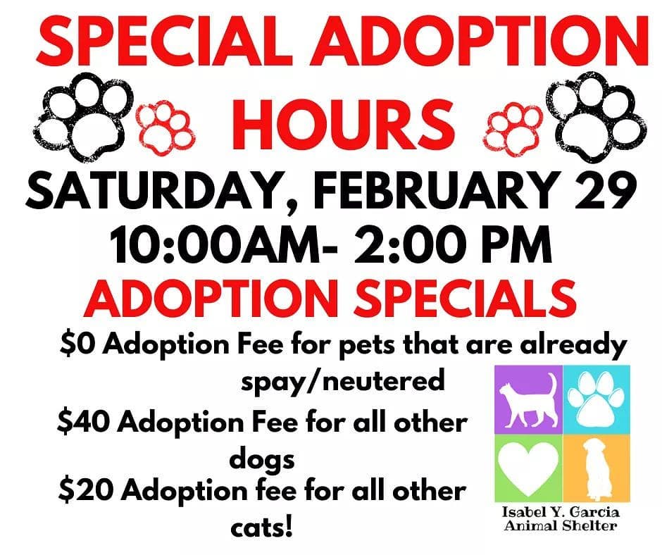 Join us on Saturday February 29th for our special adoption hours! This will be the last chance to take advantage of our February adoption specials! We hope you can join us and help find are our furry friends a forever home! please help us spread the word! <a target='_blank' href='https://www.instagram.com/explore/tags/rescued/'>#rescued</a>  <a target='_blank' href='https://www.instagram.com/explore/tags/rescue/'>#rescue</a> dogs of Instagram <a target='_blank' href='https://www.instagram.com/explore/tags/rescue/'>#rescue</a> cats <a target='_blank' href='https://www.instagram.com/explore/tags/adoptdontshop/'>#adoptdontshop</a> <a target='_blank' href='https://www.instagram.com/explore/tags/february/'>#february</a> <a target='_blank' href='https://www.instagram.com/explore/tags/portisabelevent/'>#portisabelevent</a> <a target='_blank' href='https://www.instagram.com/explore/tags/portisabel/'>#portisabel</a>