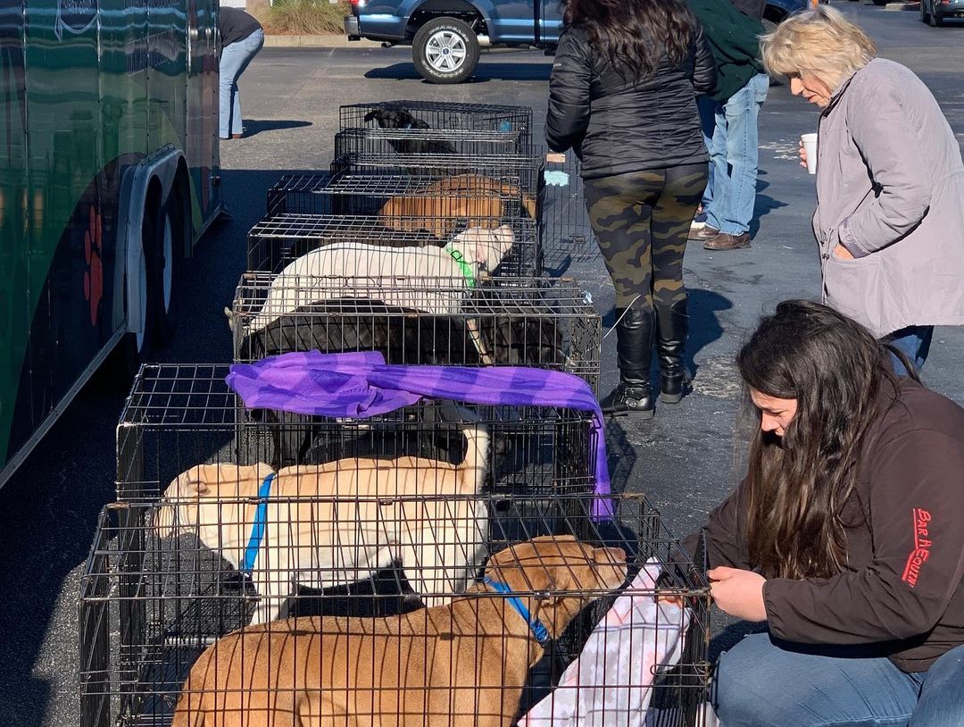 Shoutout to this awesome team who, with the help of community members, was able to clear the shelter last weekend at an adoption event. 🐾 Let’s keep the momentum going and get some more furbabies to their furever families! ❤️<a target='_blank' href='https://www.instagram.com/explore/tags/AdoptDontShop/'>#AdoptDontShop</a> <a target='_blank' href='https://www.instagram.com/explore/tags/HCACC/'>#HCACC</a> <a target='_blank' href='https://www.instagram.com/explore/tags/HorryCountyAnimalCareCenter/'>#HorryCountyAnimalCareCenter</a> <a target='_blank' href='https://www.instagram.com/explore/tags/AnimalAdoptions/'>#AnimalAdoptions</a> <a target='_blank' href='https://www.instagram.com/explore/tags/Adoptables/'>#Adoptables</a> <a target='_blank' href='https://www.instagram.com/explore/tags/AdoptionEvent/'>#AdoptionEvent</a> <a target='_blank' href='https://www.instagram.com/explore/tags/AnimalShelter/'>#AnimalShelter</a> <a target='_blank' href='https://www.instagram.com/explore/tags/ShelterLife/'>#ShelterLife</a> <a target='_blank' href='https://www.instagram.com/explore/tags/ACC/'>#ACC</a> <a target='_blank' href='https://www.instagram.com/explore/tags/TeamHorry/'>#TeamHorry</a>
