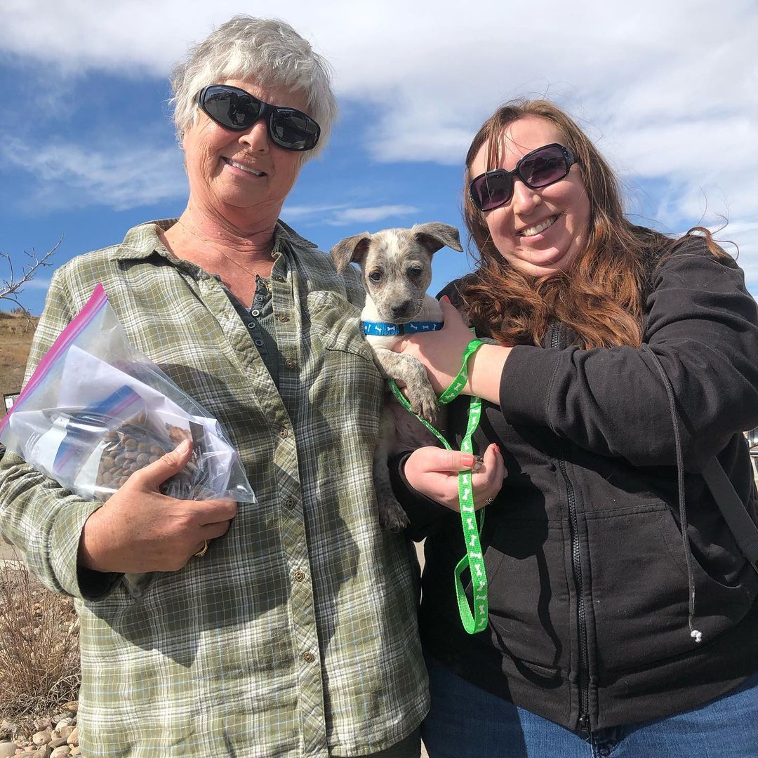 Our little man Kream got his forever home this past weekend ❤️ His new mom named him Scout! 
Happy life scout 💕
<a target='_blank' href='https://www.instagram.com/explore/tags/puppy/'>#puppy</a> <a target='_blank' href='https://www.instagram.com/explore/tags/adopted/'>#adopted</a> <a target='_blank' href='https://www.instagram.com/explore/tags/adoption/'>#adoption</a> <a target='_blank' href='https://www.instagram.com/explore/tags/rescued/'>#rescued</a>