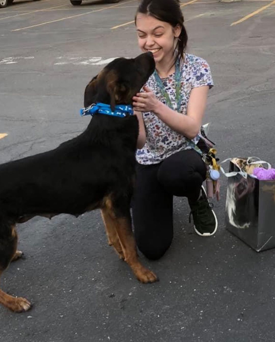 We've been super busy at MBFR!! These are some of our most recent adoptions ❤️❤️ In the first photo, the pup in the center and on the right are two of 3 of our once feral pups! They are now adopted and in the best home ever and we couldn't be more proud! 💕
<a target='_blank' href='https://www.instagram.com/explore/tags/adopted/'>#adopted</a> <a target='_blank' href='https://www.instagram.com/explore/tags/adoptions/'>#adoptions</a> <a target='_blank' href='https://www.instagram.com/explore/tags/proud/'>#proud</a> <a target='_blank' href='https://www.instagram.com/explore/tags/happy/'>#happy</a>