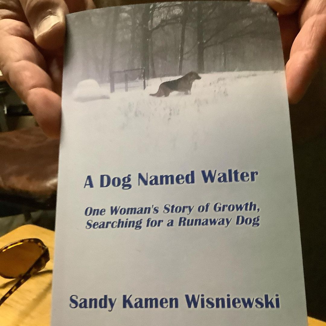 A Dog Called Walter

The book is FINALLY complete and available on Amazon, as well as ebook.  100% of the proceeds benefit Animal Education and Rescue.  If you’ve gotten the book and enjoyed it please take the time to write a review.  That will get more people to find it!<a target='_blank' href='https://www.instagram.com/explore/tags/animalrescue/'>#animalrescue</a> <a target='_blank' href='https://www.instagram.com/explore/tags/animalshelter/'>#animalshelter</a> <a target='_blank' href='https://www.instagram.com/explore/tags/doglovers/'>#doglovers</a> <a target='_blank' href='https://www.instagram.com/explore/tags/dogrescue/'>#dogrescue</a> <a target='_blank' href='https://www.instagram.com/explore/tags/booklover/'>#booklover</a> <a target='_blank' href='https://www.instagram.com/explore/tags/bookreader/'>#bookreader</a> <a target='_blank' href='https://www.instagram.com/explore/tags/dogrescues/'>#dogrescues</a> <a target='_blank' href='https://www.instagram.com/explore/tags/dogrescuer/'>#dogrescuer</a> <a target='_blank' href='https://www.instagram.com/explore/tags/dogrescuers/'>#dogrescuers</a> <a target='_blank' href='https://www.instagram.com/explore/tags/dogrescuersofinstagram/'>#dogrescuersofinstagram</a> <a target='_blank' href='https://www.instagram.com/explore/tags/humanesociety/'>#humanesociety</a>